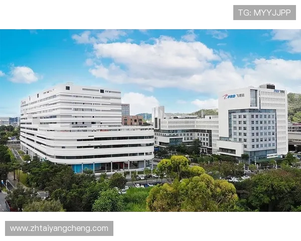 太阳成tyc欢迎您，探索无限可能的创新发展之路